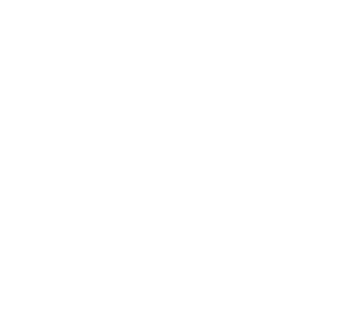 KN Analytics Logo